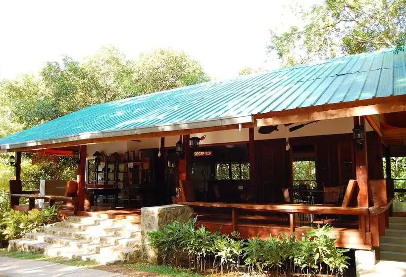 Fotos del hotel Busuanga Island Paradise:  12