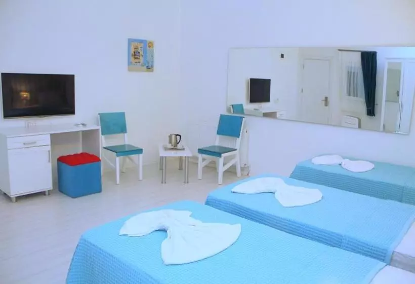 Fotos del hotel Yazar:  14