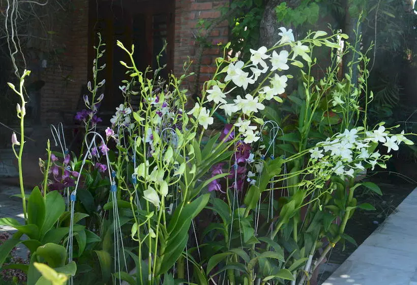 Fotos del hotel The Hoi An Orchid Garden Villas:  18