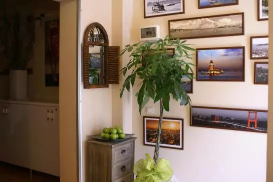 Fotos del hotel Elma Ottoman Palace:  10