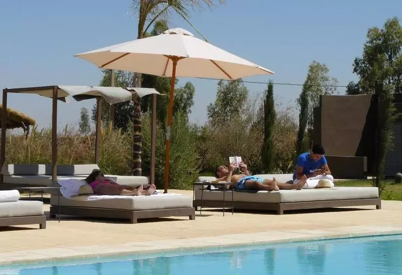 Fotos del hotel La Kasbah Igoudar Hotel Boutique and Spa:  4