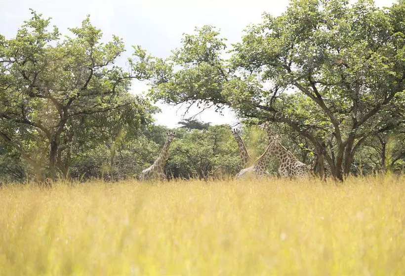 Fotos del hotel Lilayi Lodge:  14