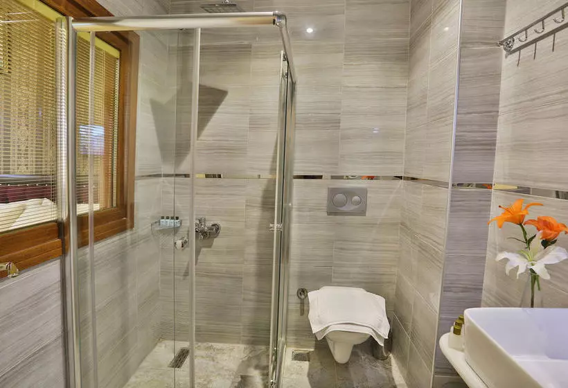 Fotos del hotel Gh Taksim:  11