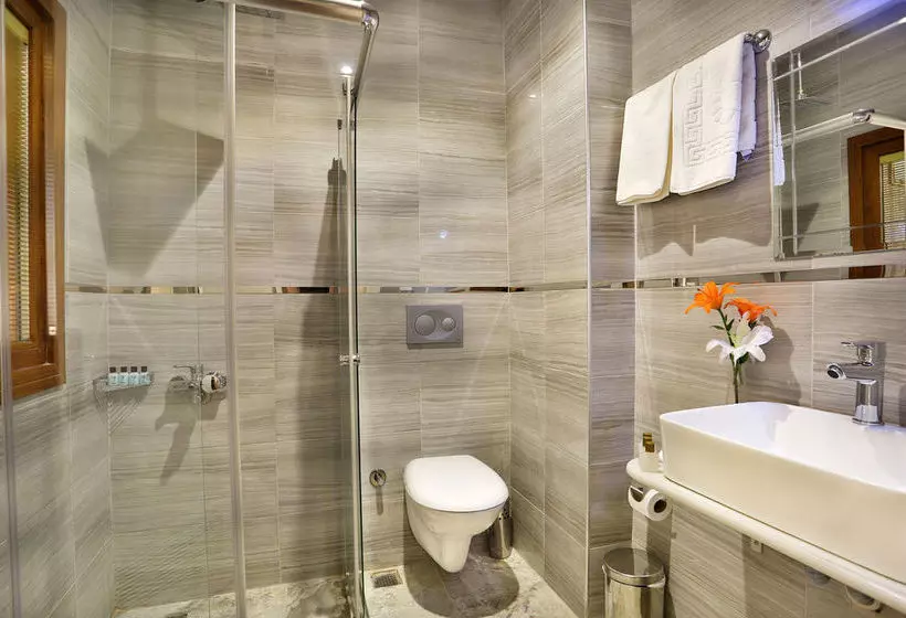 Fotos del hotel Gh Taksim:  15