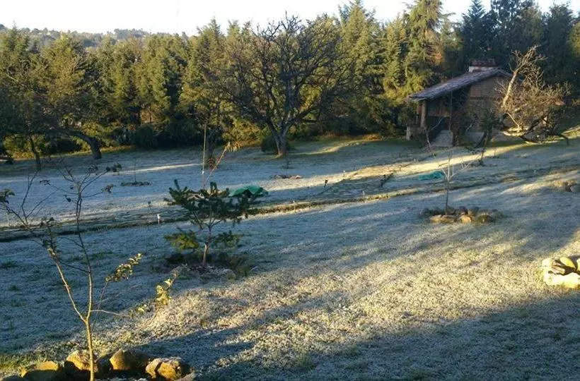 Fotos del hotel La Tierra Grande:  10