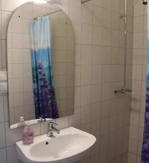 Fotos del hotel Sashalom:  11