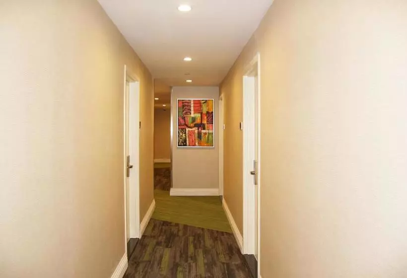 Fotos del hotel Wyndham Garden Fresh Meadows Flushing:  22