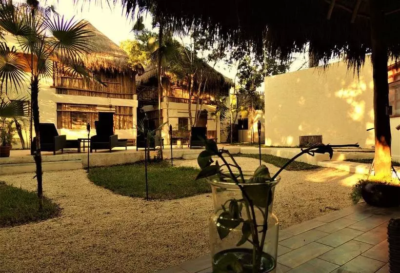 Fotos del hotel Oten Tulum:  6
