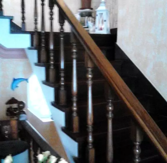 Fotos del hotel Poconovo:  9