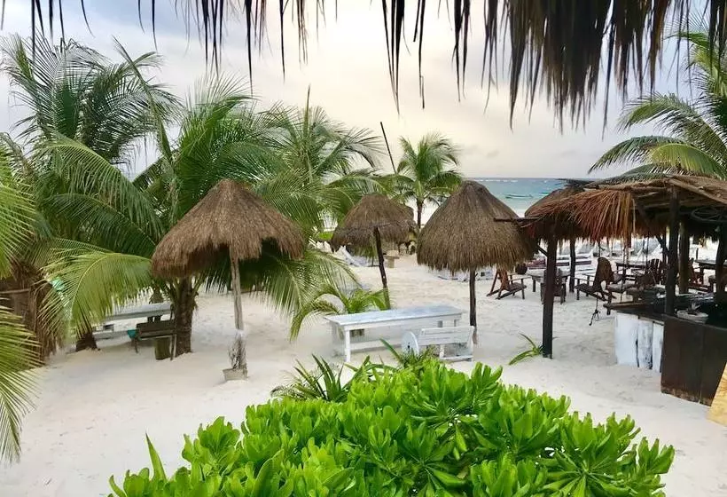 Uma Tulum Oceanfront