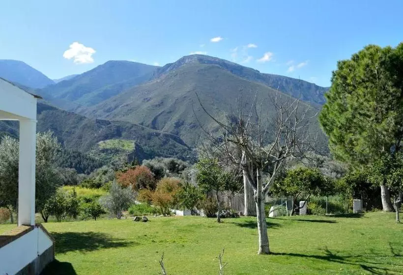 Fotos del hotel Taray Botanico:  12