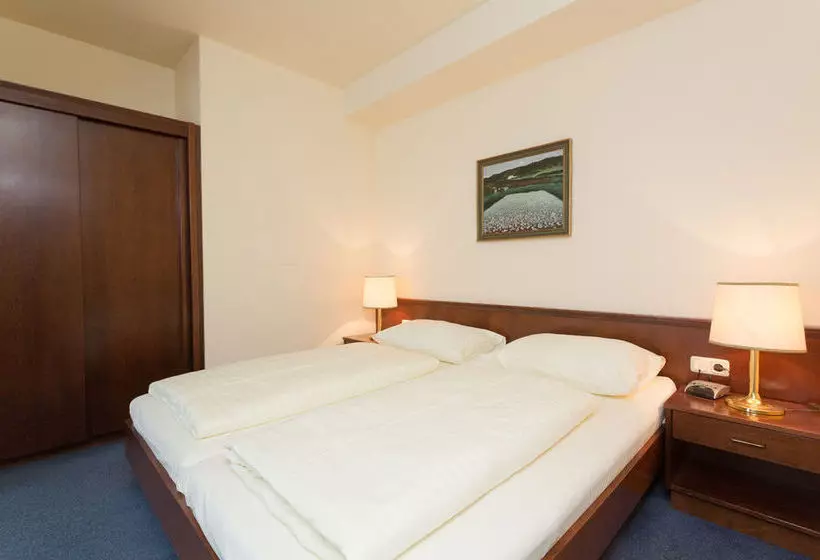 Fotos del hotel Tulip Inn Vienna Thüringer Hof:  19