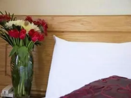 Fotos del hotel Glen Guesthouse:  19