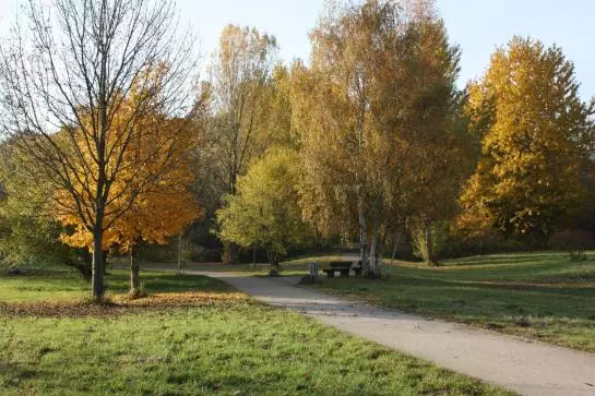 Fotos del hotel 1a-Park Hotel Berlin Schloss Kaulsdorf :  5