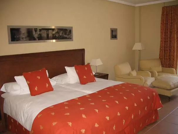 Fotos del hotel Palmera Plaza:  14