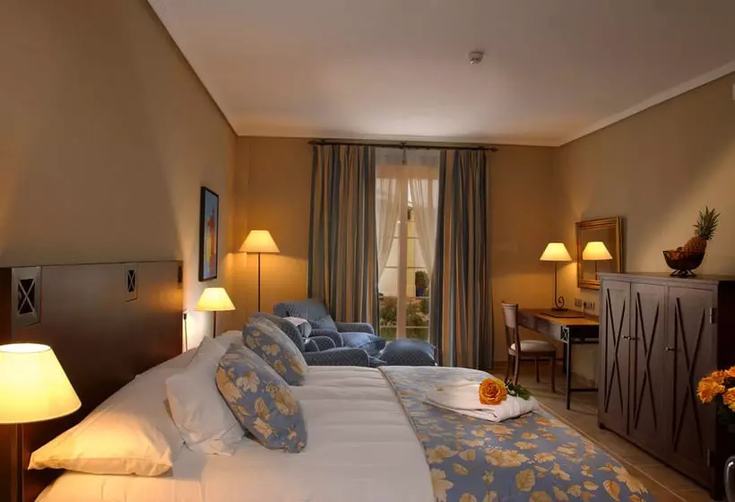 Fotos del hotel Palmera Plaza:  17