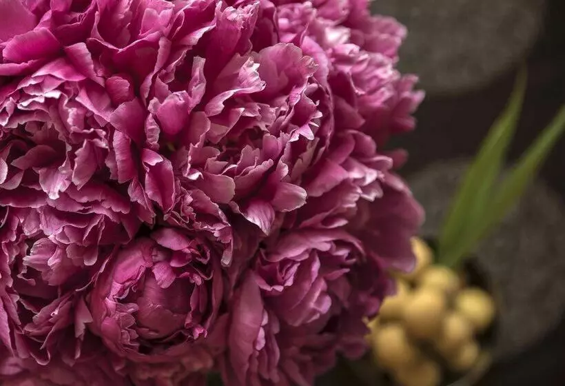 Fotos del hotel Four Seasons Hotel Shanghai:  8