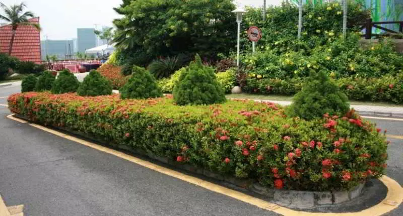 Fotos del hotel Guesthouse International:  5