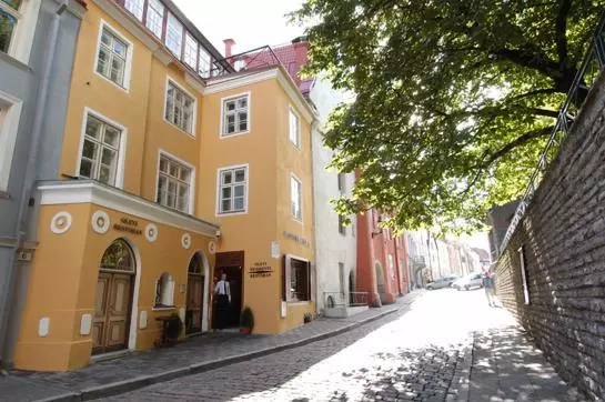 Fotos del hotel Olevi Residence:  7