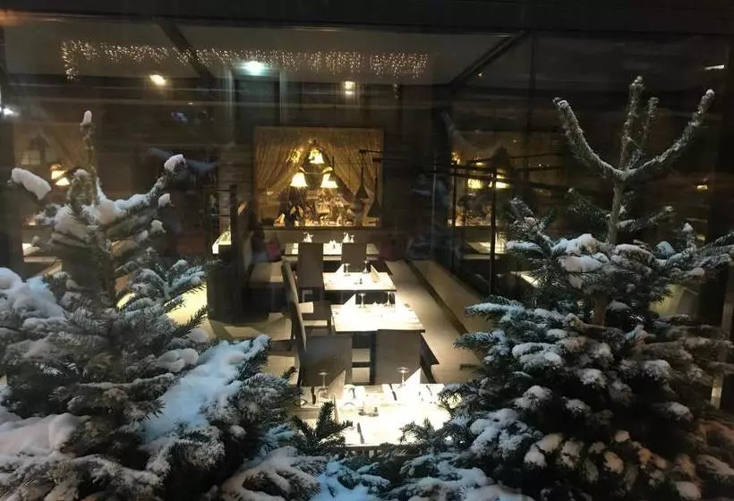 Fotos del hotel Des Alpes:  8