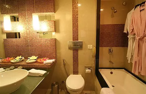 Fotos del hotel Krishna Palace:  6