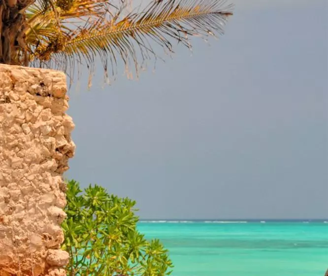 Fotos del hotel Ras Nungwi Beach:  18