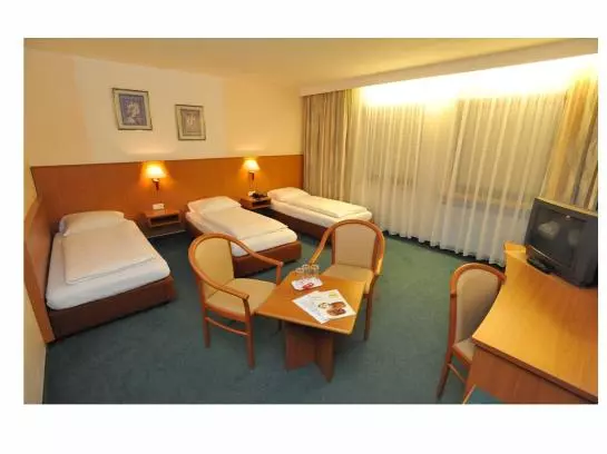 Fotos del hotel Langwasser Messe Nichtraucher:  8