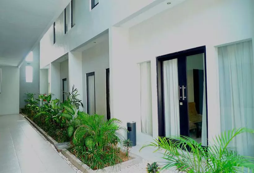 Fotos del hotel Palloma  Kuta:  10