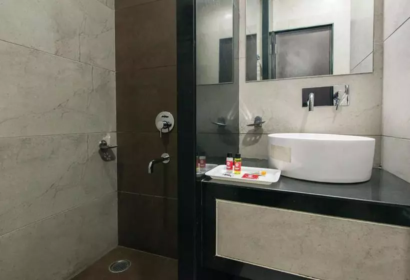 Fotos del hotel Oyo Premium Raja Park:  5