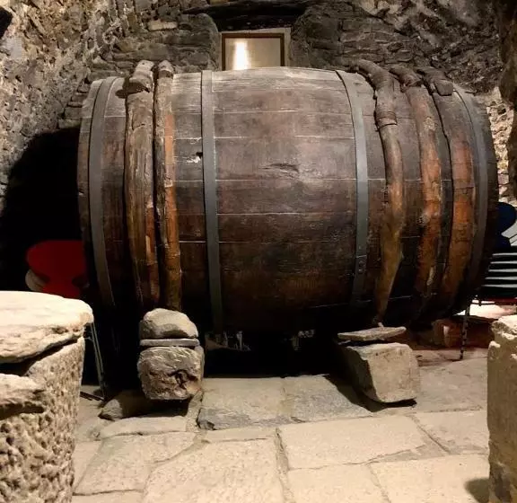 Fotos del hotel Restaurante  Casa Fumanal:  6