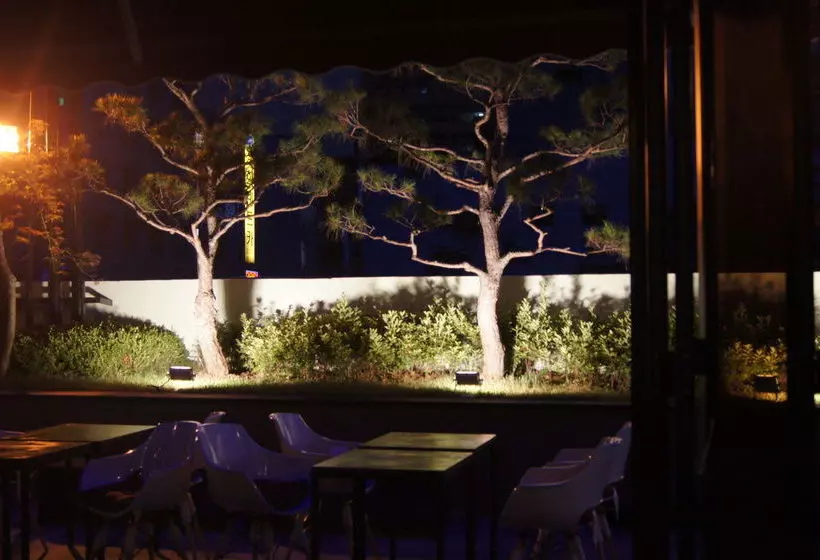 Fotos del hotel I.y:  17