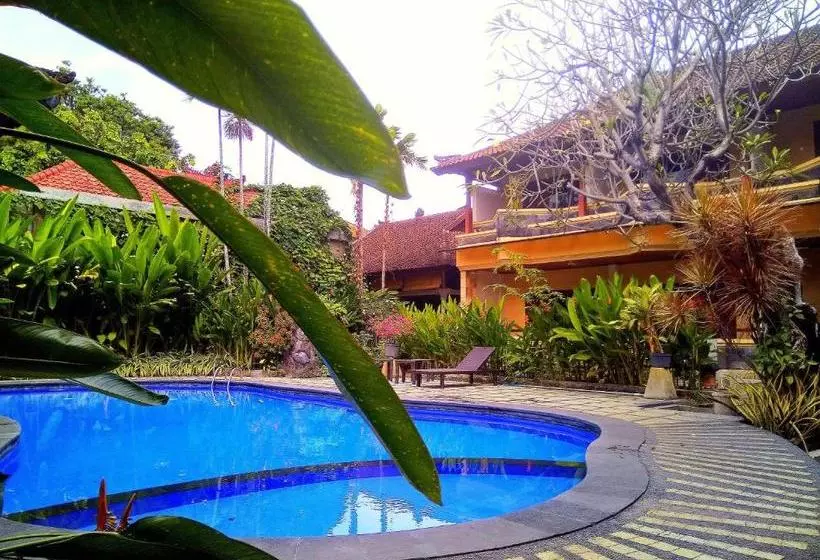 Fotos del hotel Paradiso Beach Inn:  14