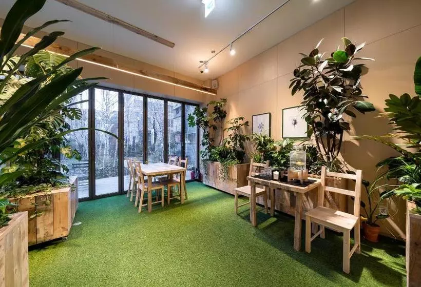 Fotos del hotel Boree:  3