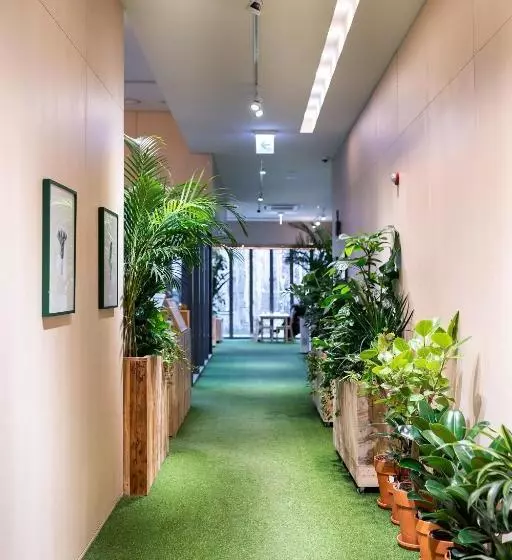 Fotos del hotel Boree:  10