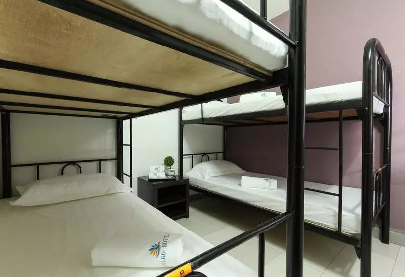 Fotos del hotel Amigo:  19