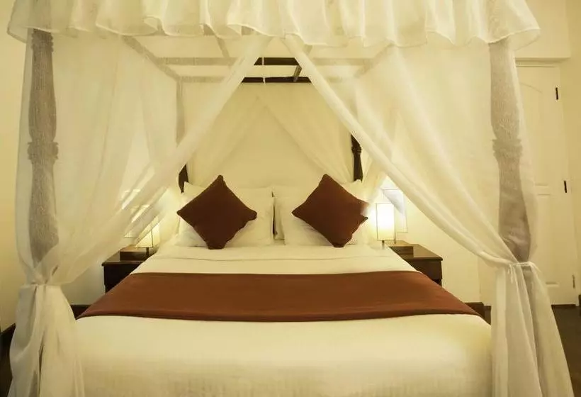 Camellia Lake Resort Camellia Lake Resort