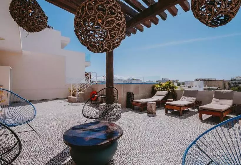 Fotos del hotel Kalma Casa Mora:  9