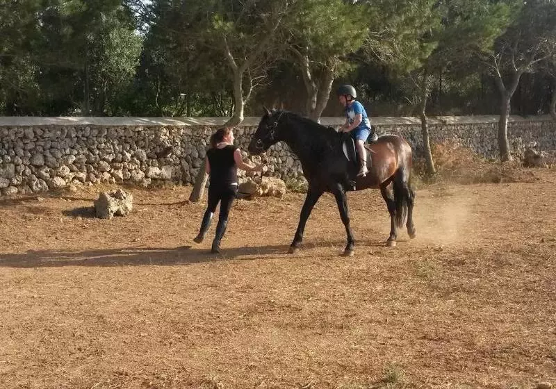 Fotos del hotel Agroturismo Biniati Des Pi:  7