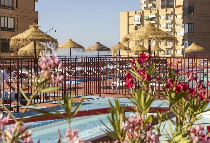 Fotos del hotel Las Palmeras Affiliated by Fergus:  78