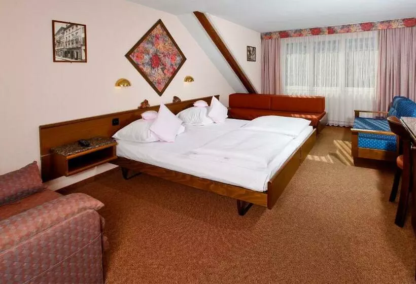 Fotos del hotel Baslertor Summer Pool:  13