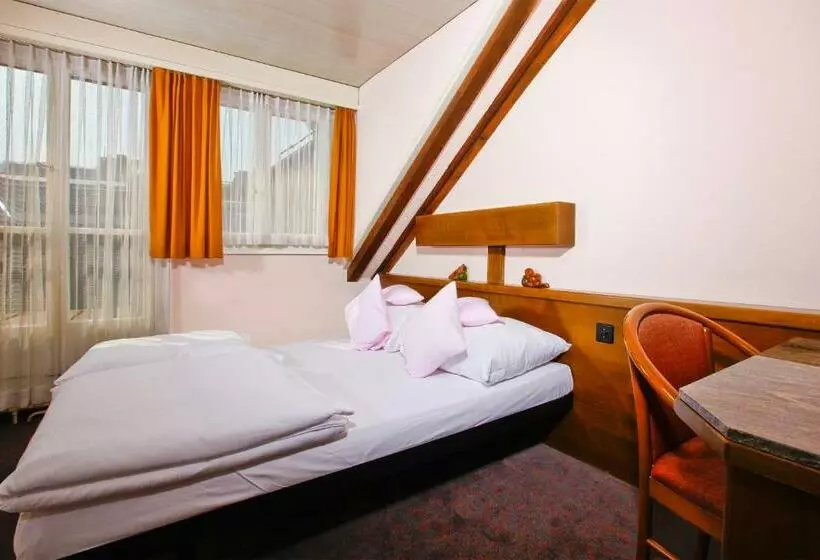 Fotos del hotel Baslertor Summer Pool:  14