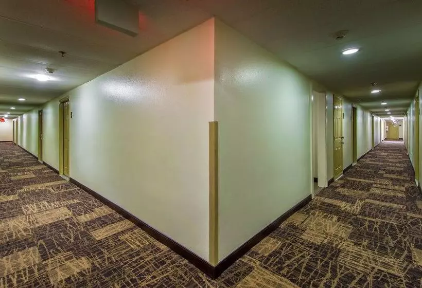 Fotos del hotel The Ponce:  7