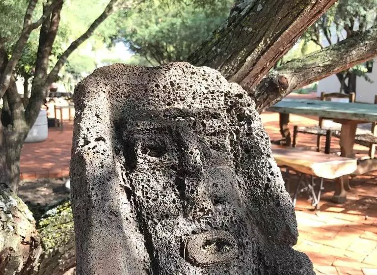 Fotos del hotel Agave Azul:  4