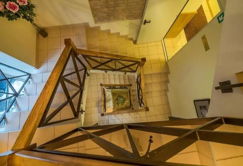 Fotos del hotel Tilto:  4