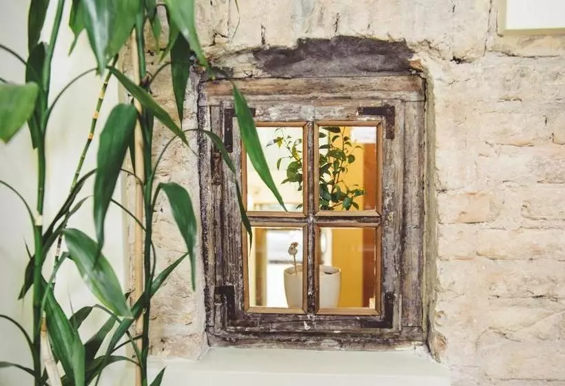 Fotos del hotel Tilto:  11