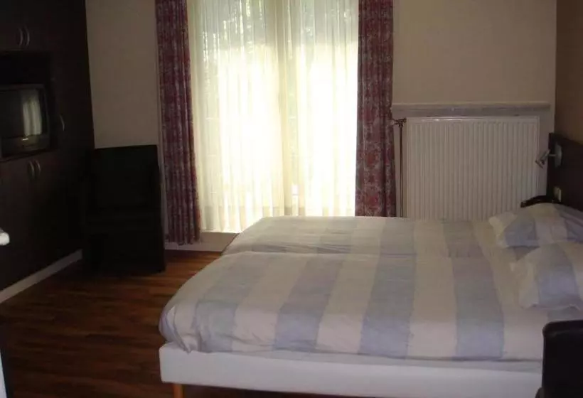 Fotos del hotel Lace:  11