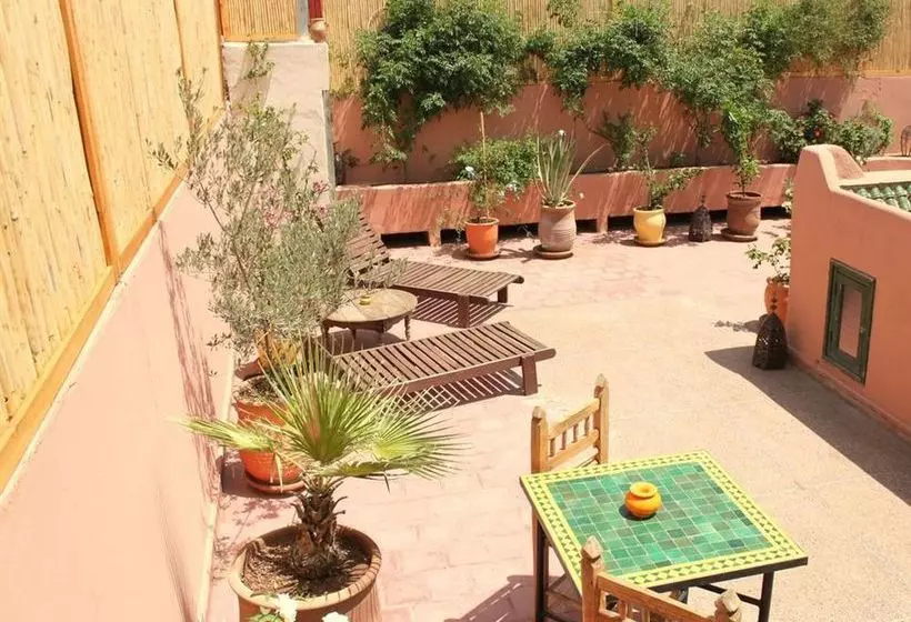 Fotos del hotel Dar Choumissa:  9