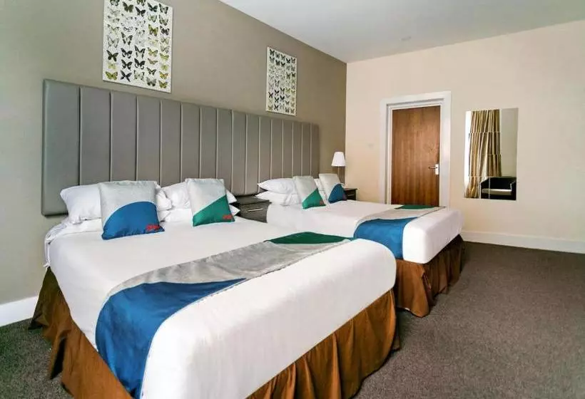 Fotos del hotel Ivory:  5