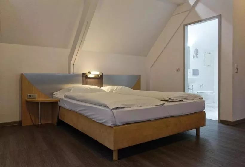 Fotos del hotel Opera Hotel Köln:  7