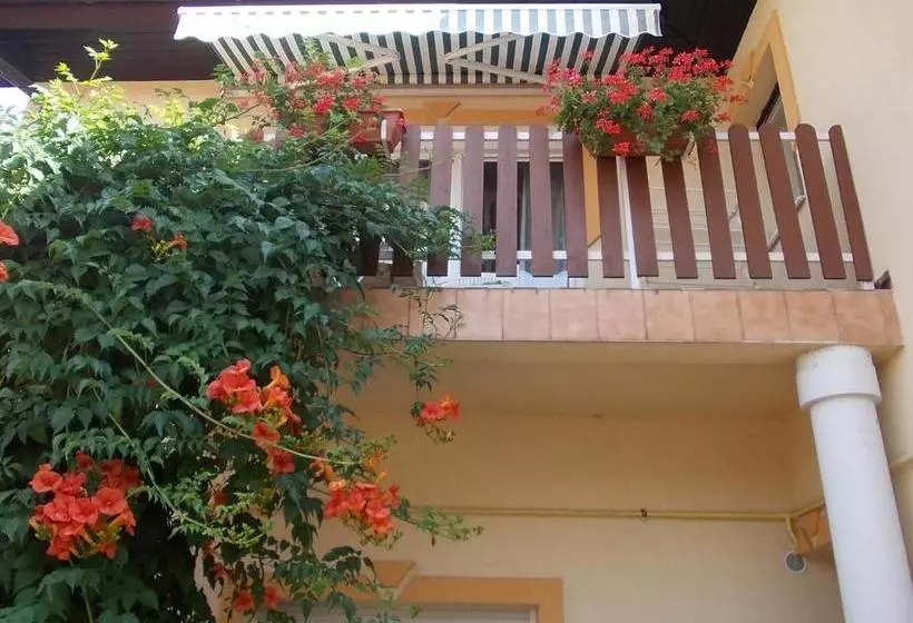 Fotos del hotel Judit Vendégház:  5